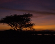 MG 0623 Serengeti Sunrise